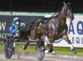 Master Catch. Picture Racing at Club Menangle