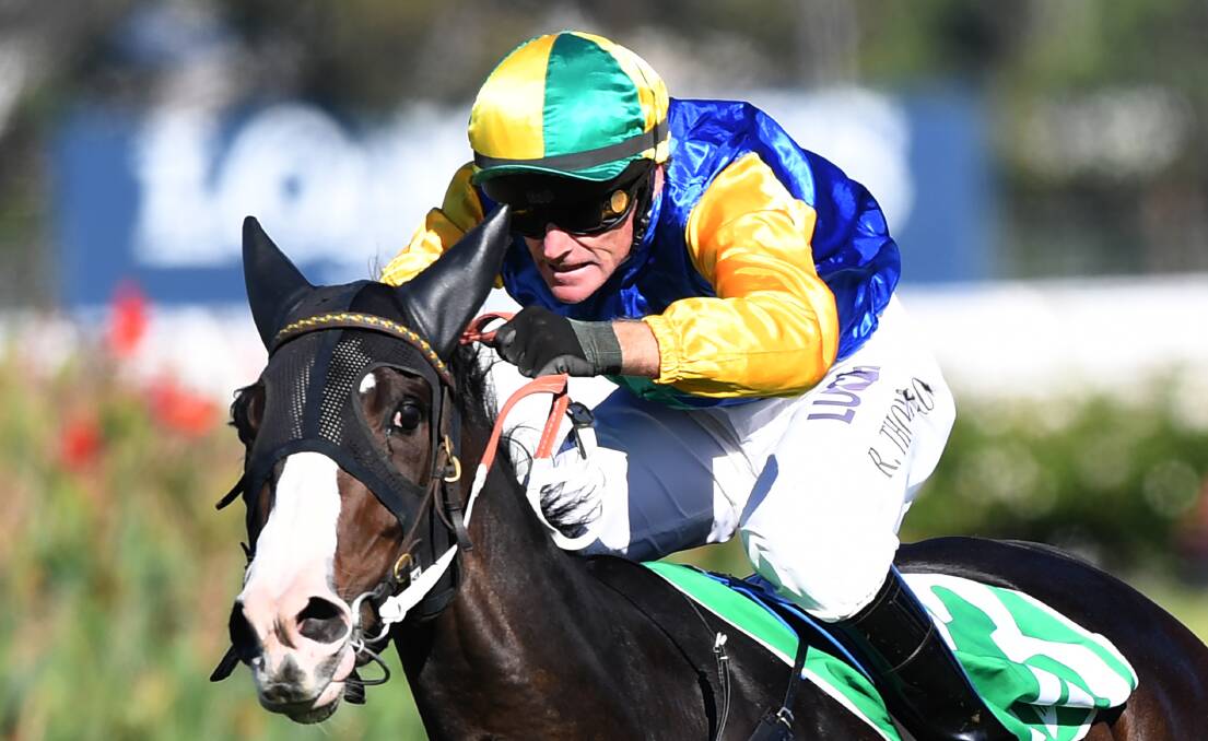 ON BOARD: Jockey Robert Thompson will chase his second Townsville Cup success on Saturday. Picture: AAP