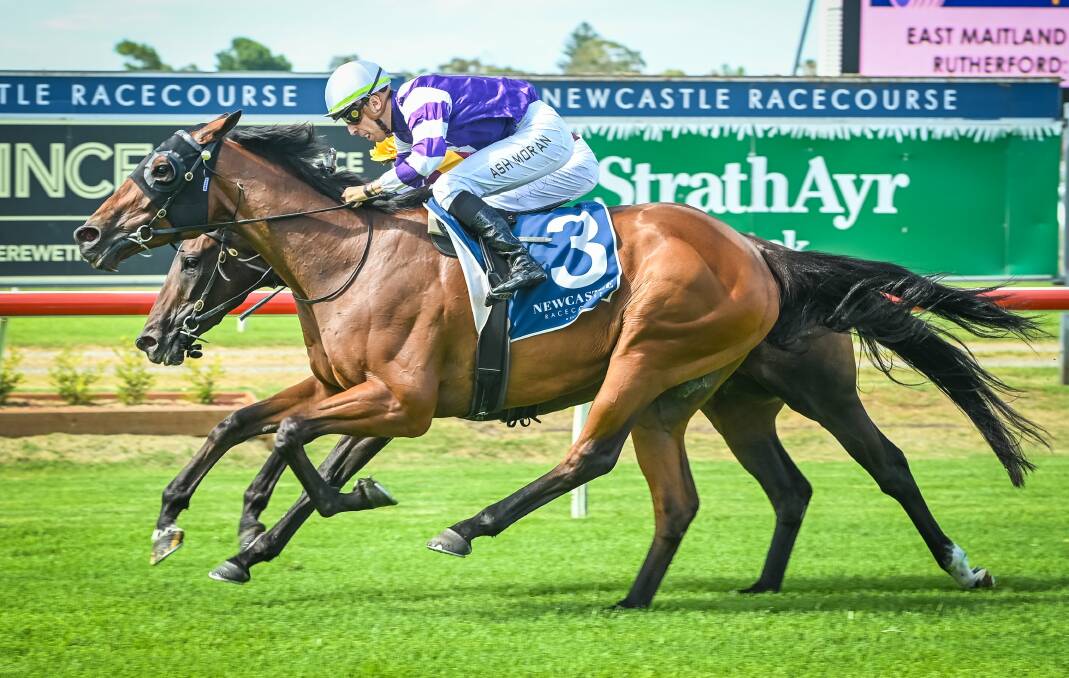 Ash Morgan riding Kingdom Of Gold to a narrow victory in the Gary Harley Handicap at Newcastle on Sunday. Picture Newcastle Racecourse