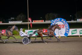 Leap To Fame wins the Newcastle Mile. Picture by by Justin Worboys, Newcastle Harness Racing Club
