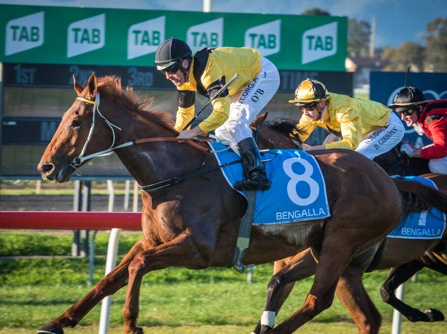 Nothing Too Hard winning on Sunday. Picture: Muswellbrook Race Club