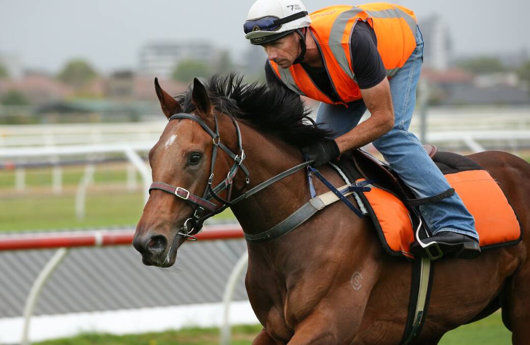 Kris Lees-trained Spring Stakes hope Kind Words works at Newcastle Racecourse with Mal Ollerton on Wednesday. Picture by Simone De Peak