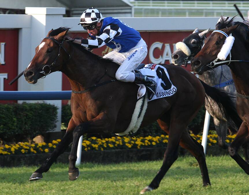 BIG WIN: Mawingo, with Nash Rawiller aboard, wins the 2012 Doomben Cup. The connections survived a protest to take out the group 1. Picture: Tertius Pickard
