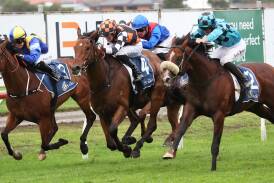 Magnaspin, middle, with Tom Sherry aboard, powers home to win the $500,000 The Coast at Newcastle on Saturday. Picture by Peter Lorimer