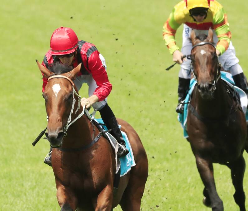 READY: The Kris Lees-trained Gem Song winning at Warwick Farm in February. He has firmed from $15 to $11 with TAB for the Epsom Handicap since the market opened. Picture: Getty Images/Mark Evans