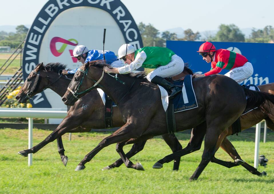 TOP PICK: Bobbing, carrying the green and white colours, finishing second in the wildcard qualifier at Muswellbrook. Picture: Muswellbrook Race Club