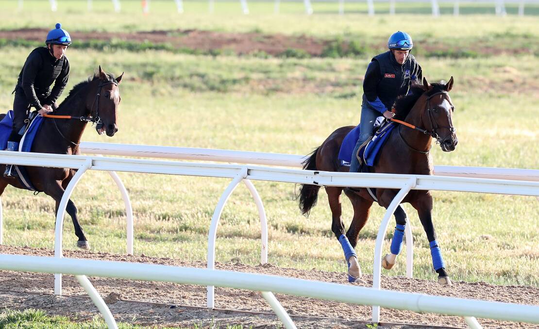 CHANCE: Crystal Mile winner Chief Ironside, right, pictured in work last spring, will be among contenders in Friday's listed Scone Cup (1600m). Picture: Getty Images