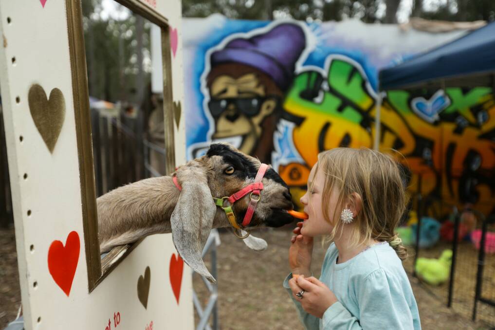 FAMILY FUN: Dashville Skyline provided entertainment for all ages including Willow Hawkes who got up close and personal with Blitz the goat at the kissing booth. Picture: Jonathan Carroll