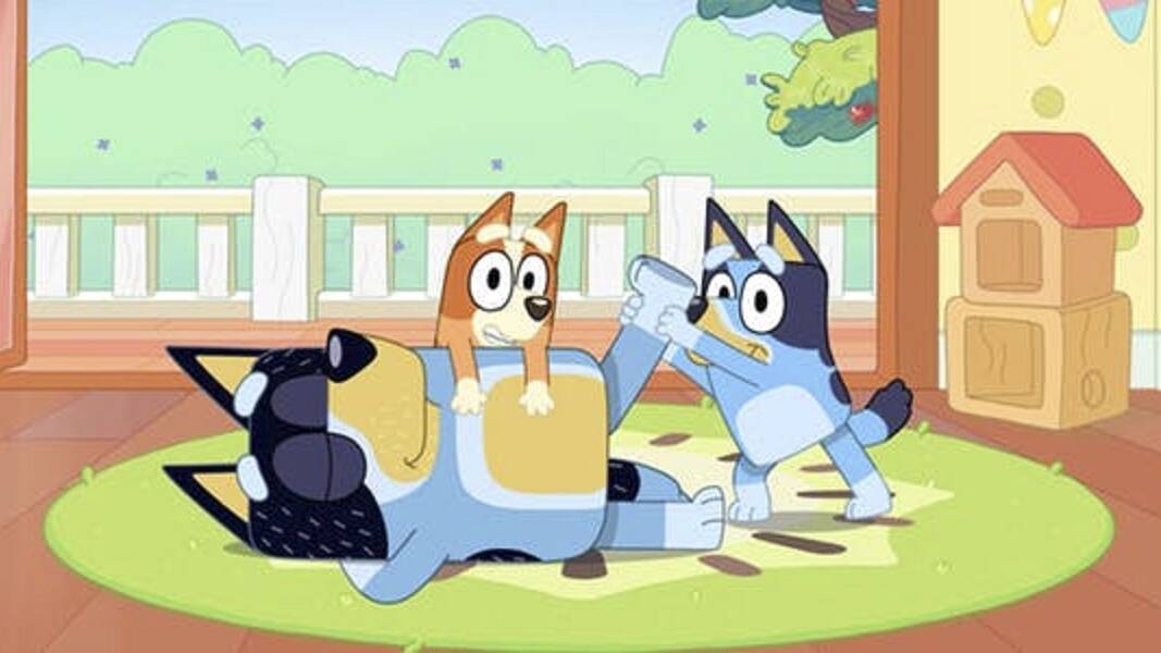 FAMILY FUN: Bluey has become a permanent fixture in many Australian homes.