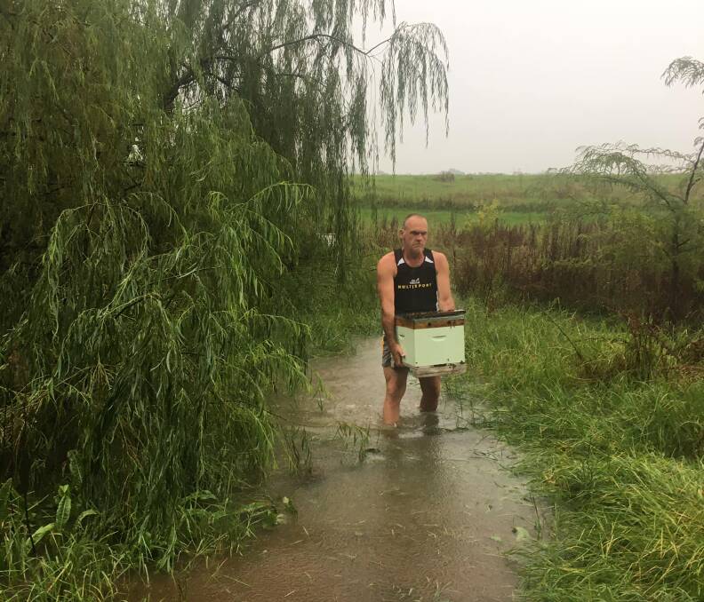 Camden Community Garden president Steve Cooper braving flood waters to rescue bees and chickens. Picture: Camden Community Garden
