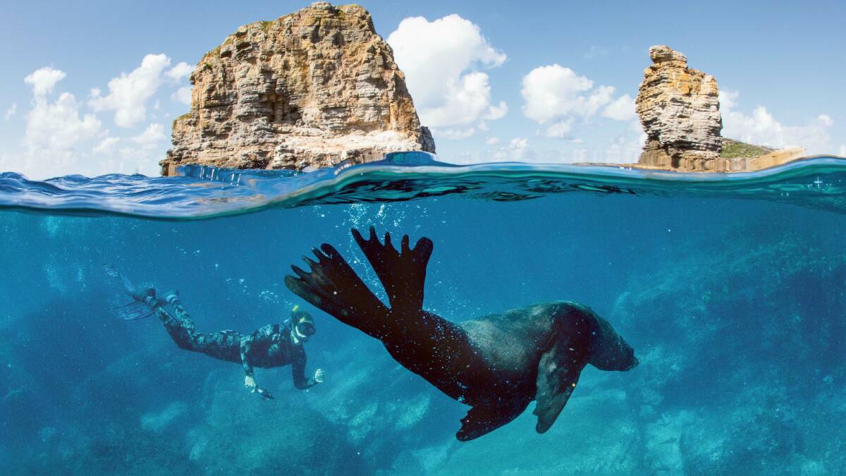 Your guide to great Australian dive sites