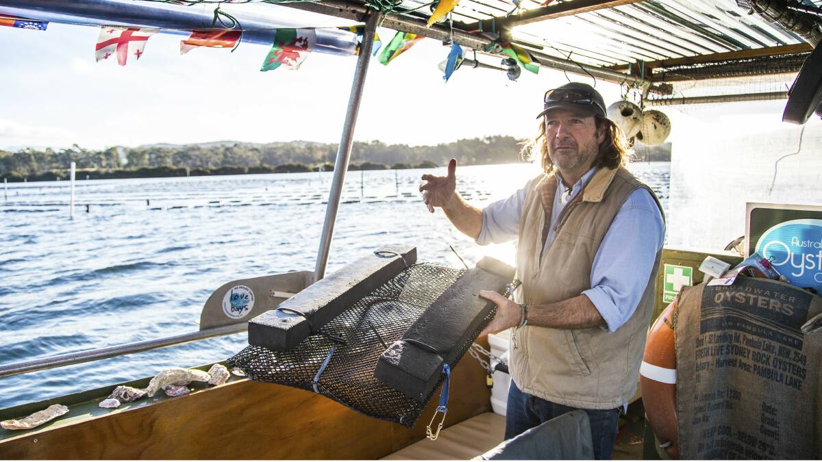 Brett Weingarth guiding the Captain Sponge Magical Oyster Tour in Pambula.