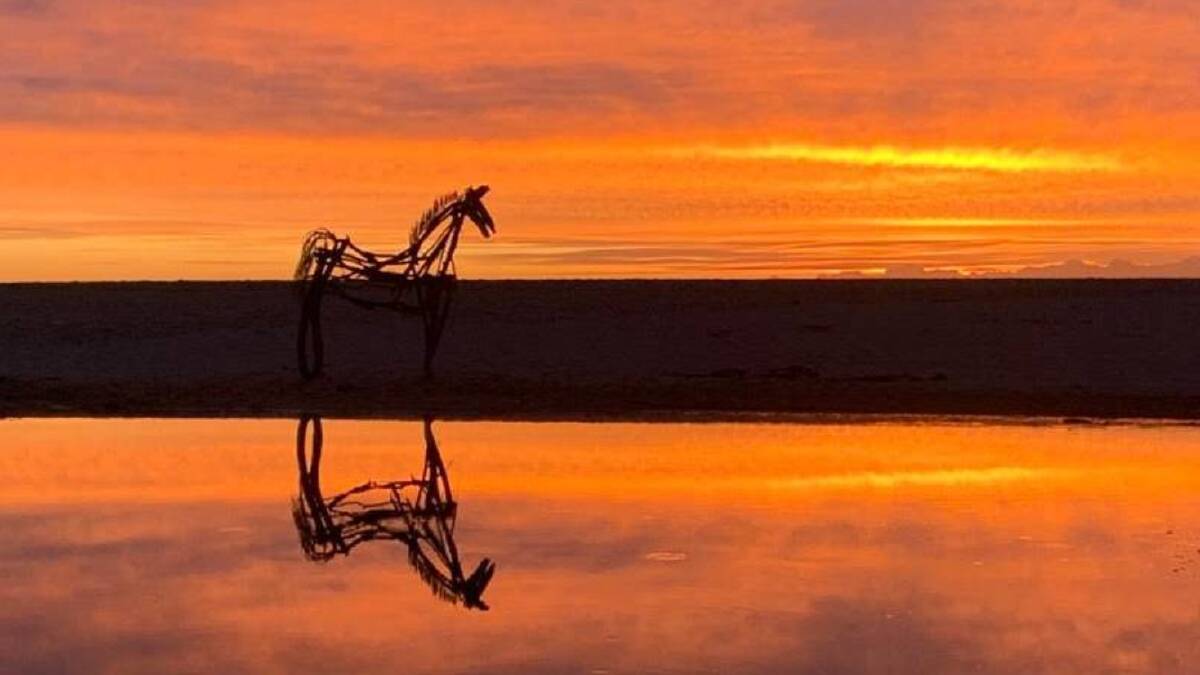 Sunset: ANZAC warhorse at Avoca. Photo: Peter Rush