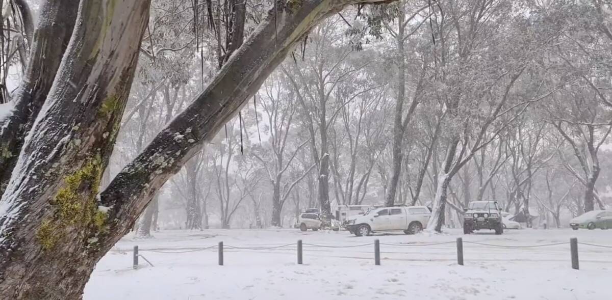 WINTER: The Polblue Campground at the Barrington Tops in 2020. Picture: Rob Balint