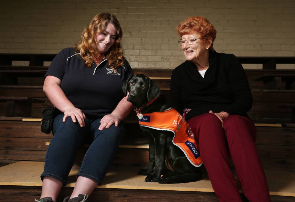 GOOD DOG: Guide Dogs NSW/ACT puppy development advisor Page Power with Aberglasslyn puppy raiser Rhonda Morris who is raising Neva to become a guide dog. Pictures: Simone De Peak