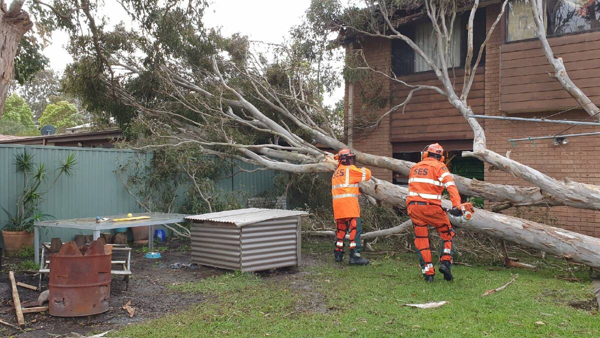SES volunteers helping clear a tree that fell in Tuggerawong. Picture: NSW SES