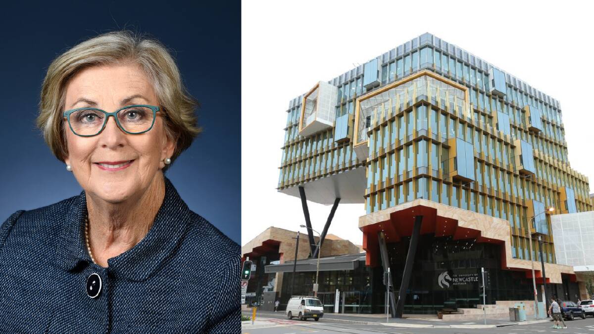 Patricia Forsythe has been appointed as the next chancellor of the University of Newcastle.