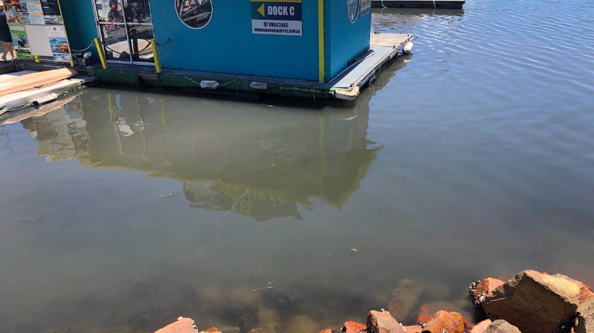 The sewage leaked into the harbour, with water quality test results still outstanding.