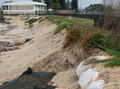 The buried seawall is aimed at reducing erosion and loss of land during large swells. Picture by Max Mason-Hubers