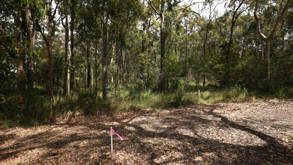 The University of Newcastle has lodged a development application to clear 65 trees at its Callaghan campus for a Research Translation Precinct. 
