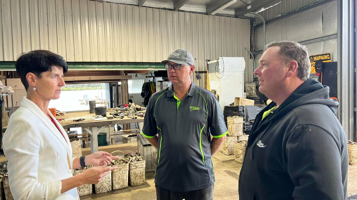 STRUGGLE: Port Stephens MP Kate Washington with Dean and Stephen Cole from Cole Bros Oysters in Karuah. Picture courtesy: Kate Washington MP