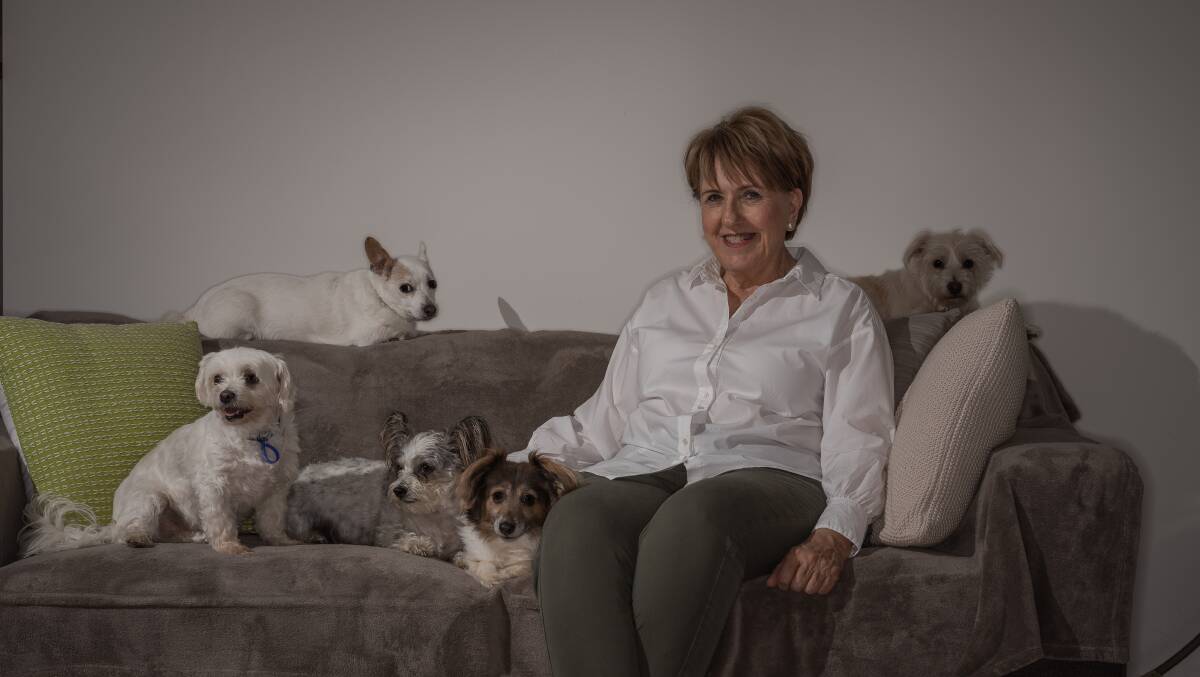 Dog Rescue Newcastle president Sue Barker. Picture: Daniel Arnaldi