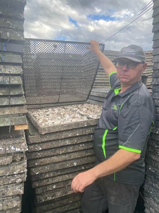 LOSS: Stephen Cole from Cole Bros Oysters at Port Stephens, which has been impacted by the QX disease outbreak. Picture courtesy: Kate Washington MP