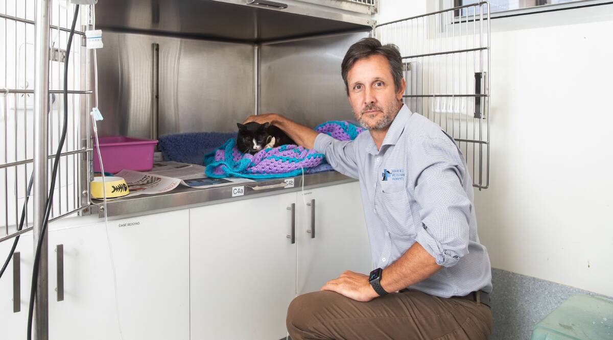 CARE: Mayfield Veterinary Hospital owner Nigel Dunn, pictured with injured cat Lily, has expressed concern that the animals were culled. Picture: Marina Neil