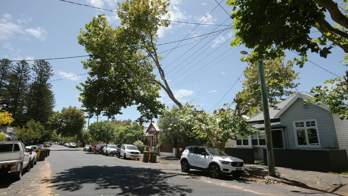 Another tree on Dawson Street, Cooks Hill. Picture by Simone De Peak