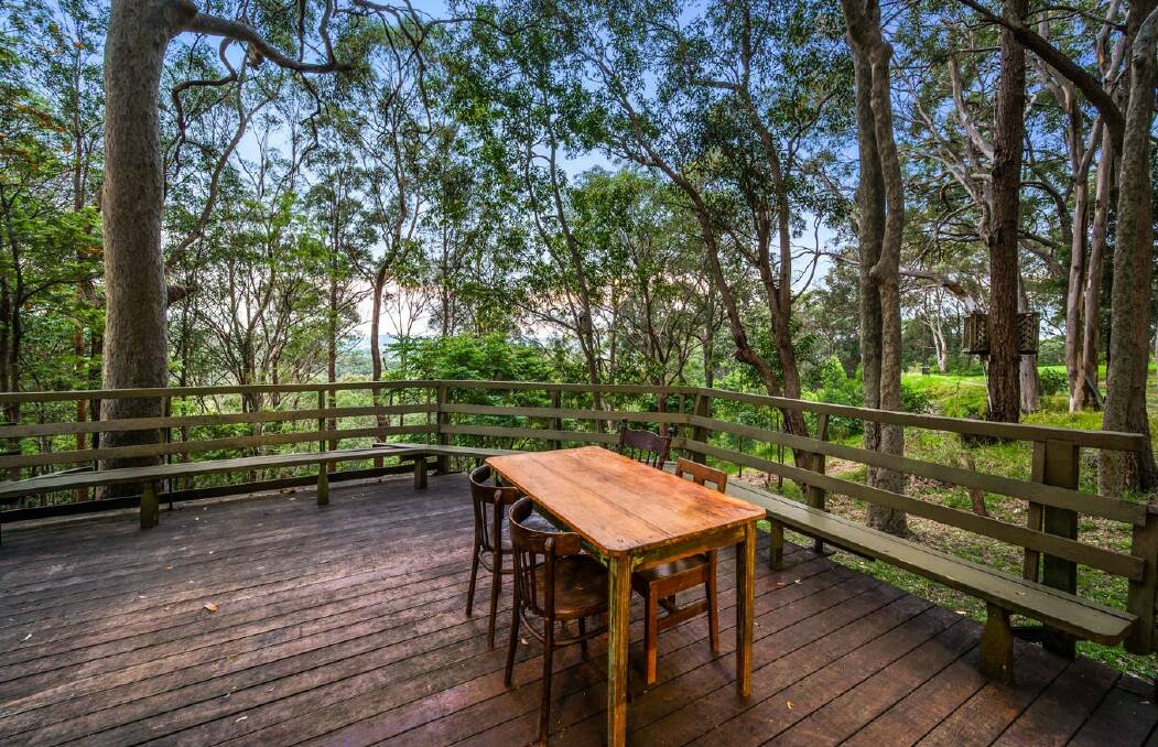 The property looks out onto Bangalay Reserve. 