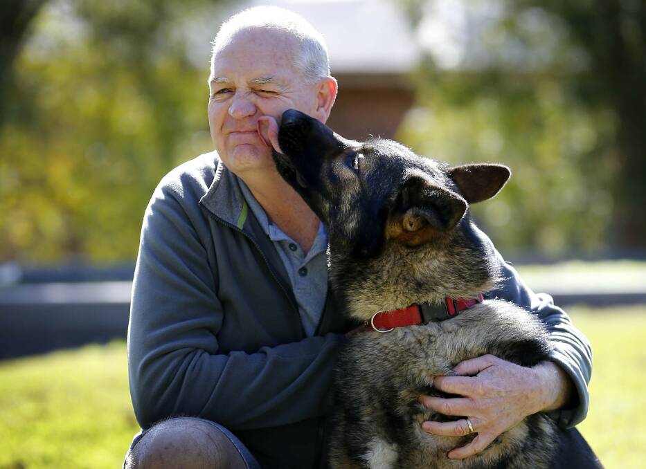 HERO: Thornton's Tim Brown with his dog Zag. Picture: Darren Pateman, AAP