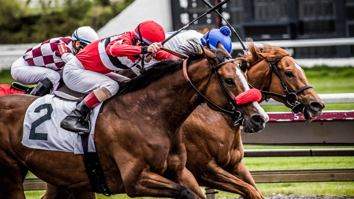 5 Biggest horse racing events to look forward to in 2022 Newcastle