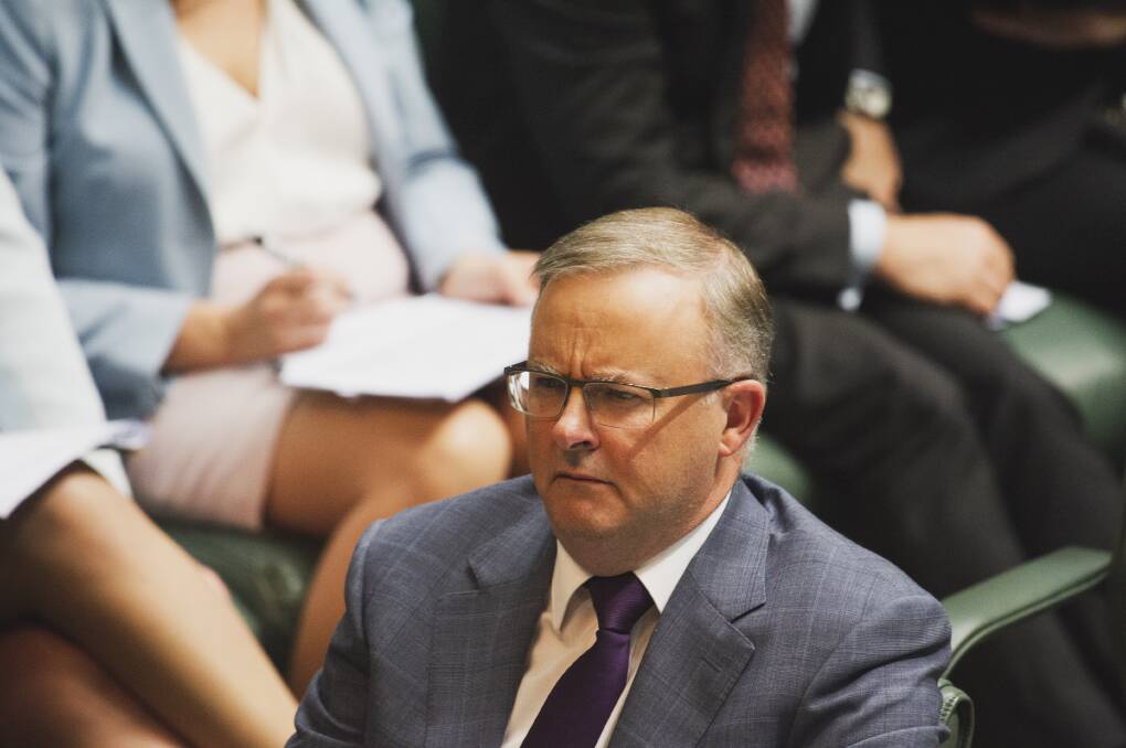 Labor leader Anthony Albanese. Picture: 