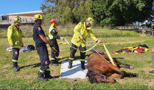 ANIMAL RESCUE: FRNSW crews were called to help move a horse that had fallen at Elermore Vale.