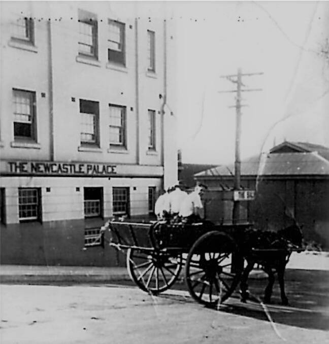 FAMOUS: A picture of Dougherty’s horse and cart in Auckland Street.