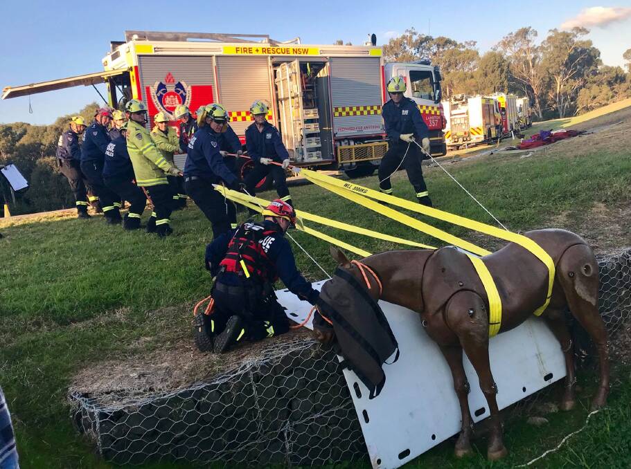 Lambton crews take part in a Large Animal Rescue Training course.