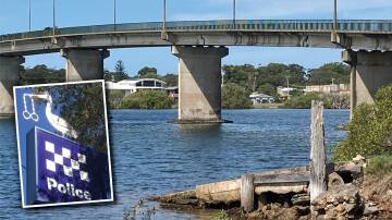 The historic twin township bridge has turned 50 years old. The bridge overshadows the former vehicular punt ramp. Inset: An unusual sculpture of a pelican with handcuffs in its beak outside Tea Gardens police station. Pictures by Mike Scanlon