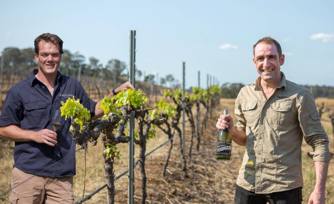 INNOVATIVE: Carillion chief Tim Davis and winemaker Andrew Ling with the Lovable Rogue vermentino.
