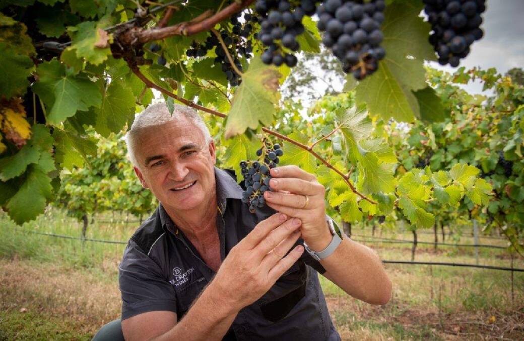 ANOMALY: Peter Drayton, in his Pokolbin vineyard, has an adventurous approach to the wine business