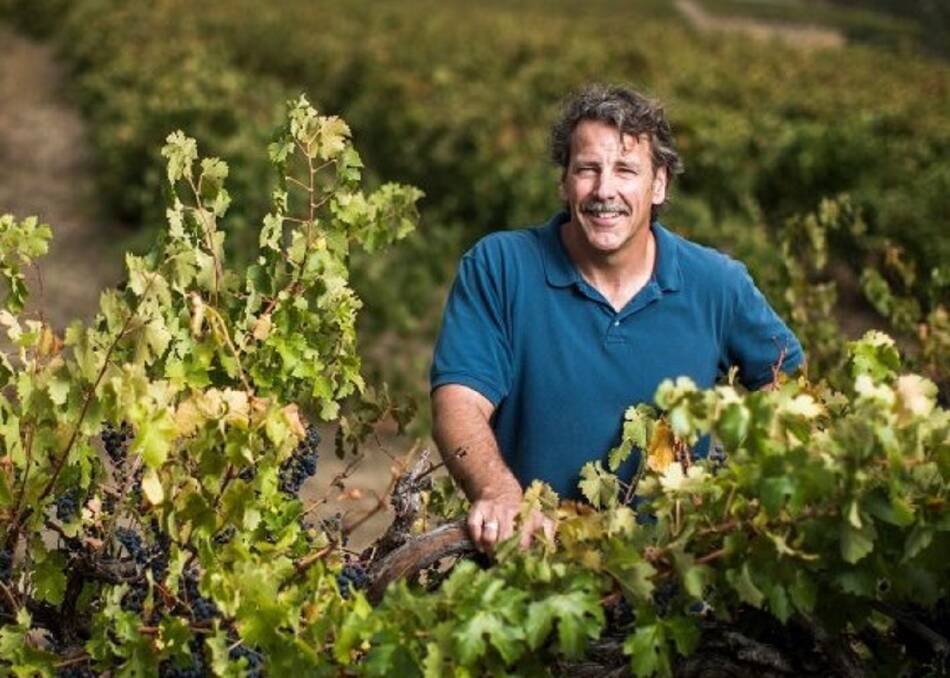 IN TUNE: Winemaker Chris Carpenter among the Hickinbotham vines in Clarendon, South Australia.