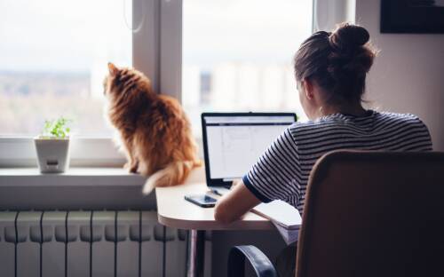 Working from home just became a reality - here's how to cope