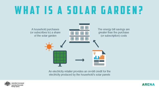 Solar gardens growing cheap electricity