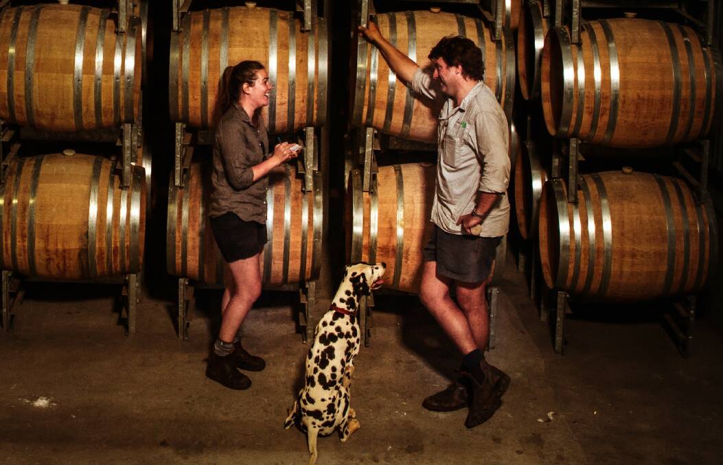 IMPORTANT TEAM MEETING: Winemaker Kate Sturgess and senior winemaker Stuart Hordern with Kate's dog and winery "meeter and greeter" Winston in the Brokenwood barrel room.