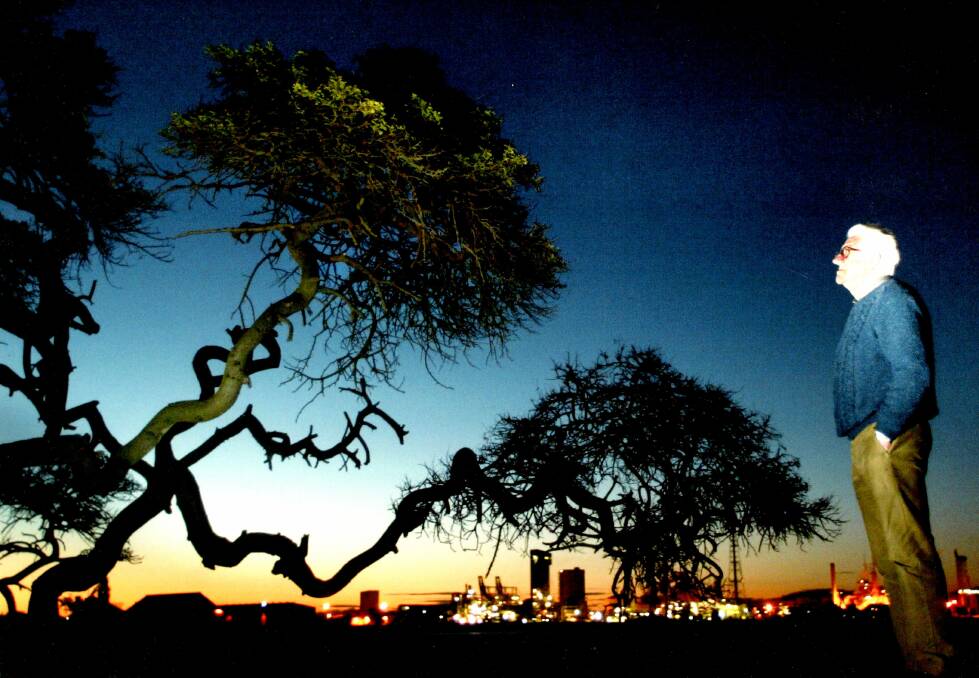 Facing the axe: The endangered giraffe tree at Stockton photographed at dusk in 2003 with Ray Esdaile. Picture: Darren Pateman