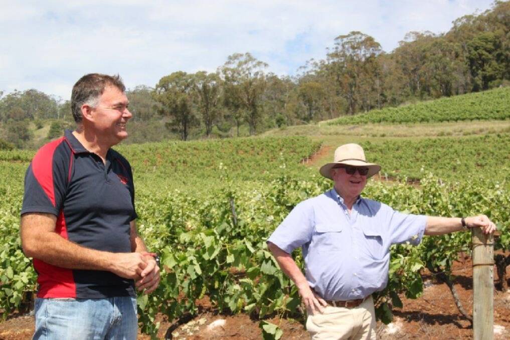 HISTORY: Tyrrell’s vineyard manager Andrew Pengilly and managing director Bruce Tyrrell in the Old Patch vineyard.