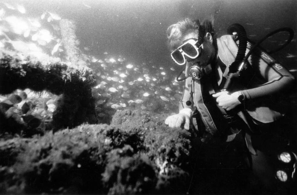 Deep wreck: Diver Pauline de Vos examines the sunken Stockton Bight army tank in 1987. Picture: Chris Paterson
