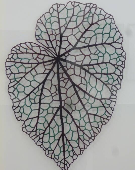 INNOVATIVE: Begonia Leaf, Meredith Woolnough.