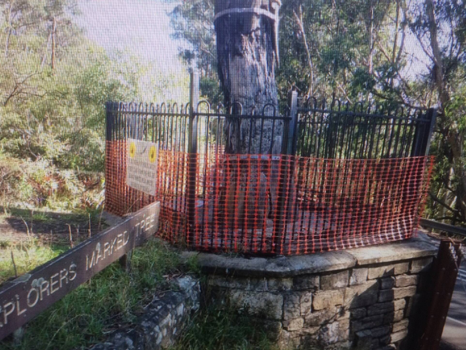 Katoomba's Explorers Tree gone, but hunt for historic marks in