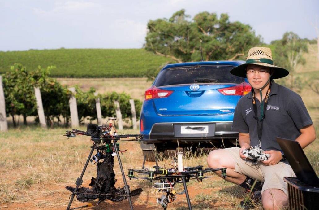 TESTING: Zi Wang with the dummy crow-equipped drone in the Freeman vineyard in the Hilltops wine region.