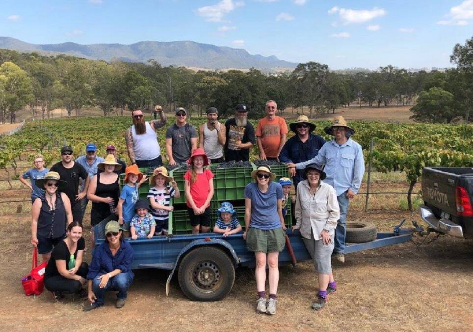 HARVEST: The Elbourne vineyard 2018-vintage picking team, with Alexys Elbourne in the straw hat and blue shirt.